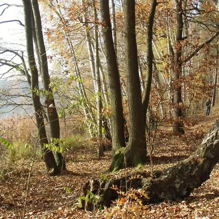 Teupitz Lakeside Escape *