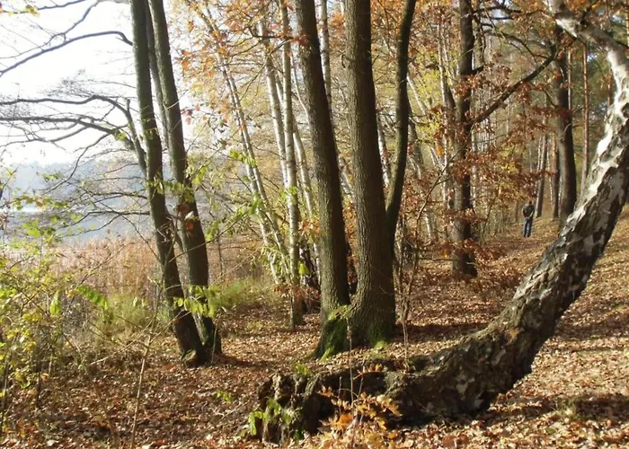 Teupitz Lakeside Escape *